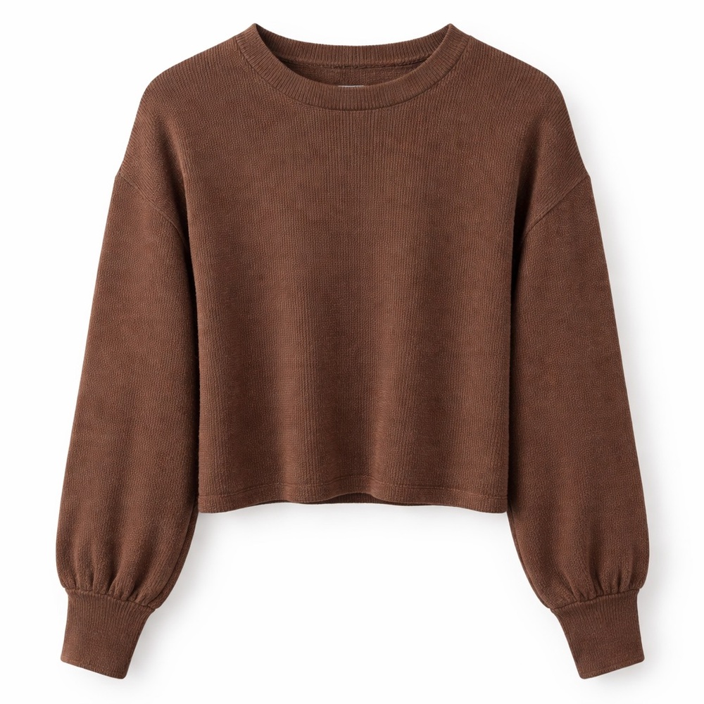 Madewell Brushed Knit Puff Sleeve Sweater Sweatshirt (089)